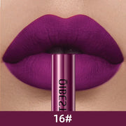 Waterproof VelvaMatte Liquid Lipstick - My Store